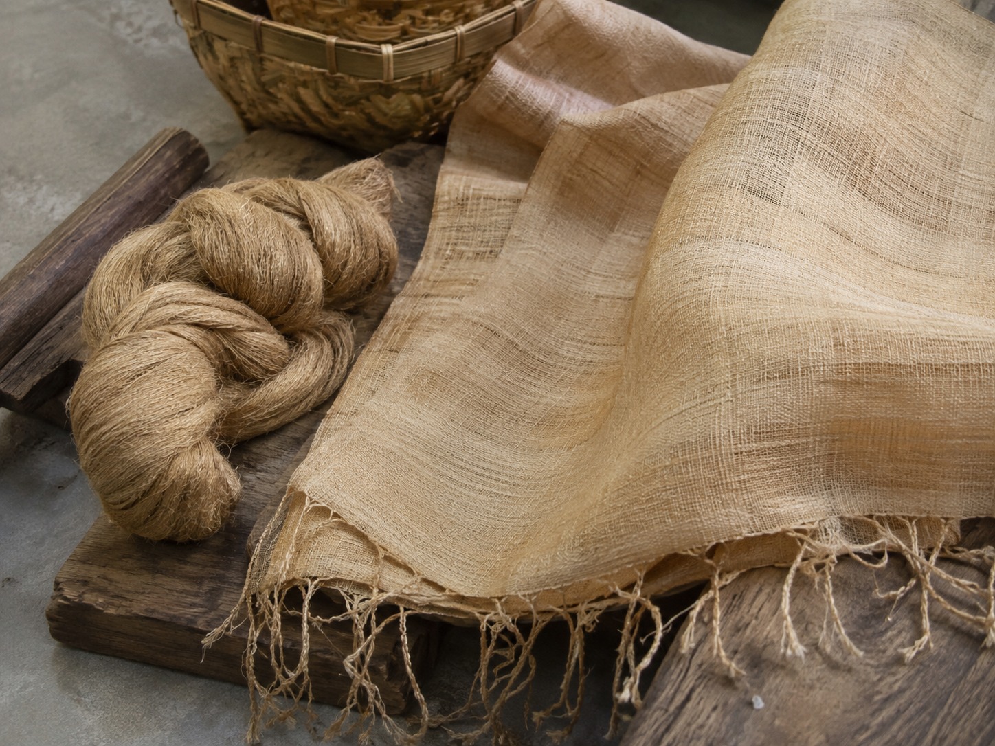 Muga Silk: The Golden Treasure of Assam